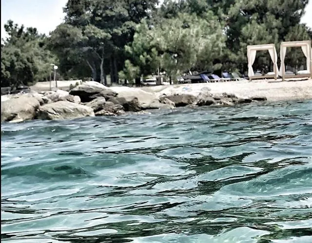 Anais 2* Πρίνος